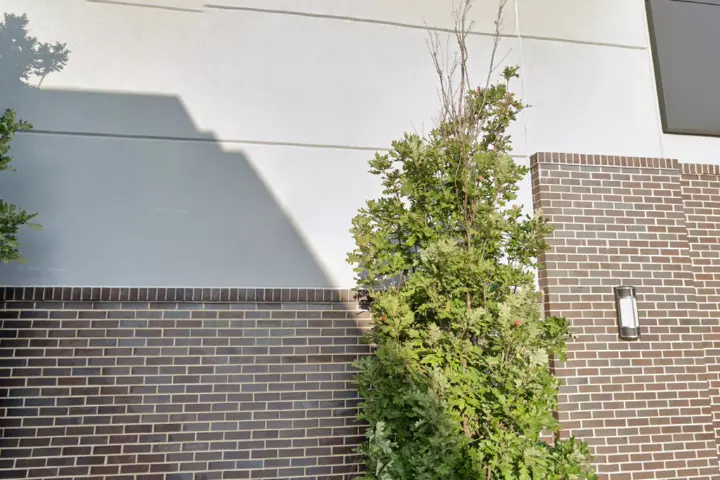 AT&T Store Rolling Meadows - Rolling Meadows