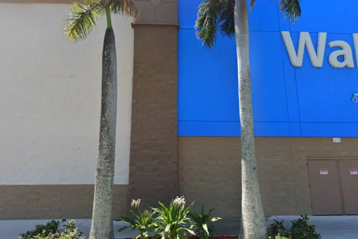 Walmart Supercenter - 3200 Old Boynton Road (Boost Mobile)