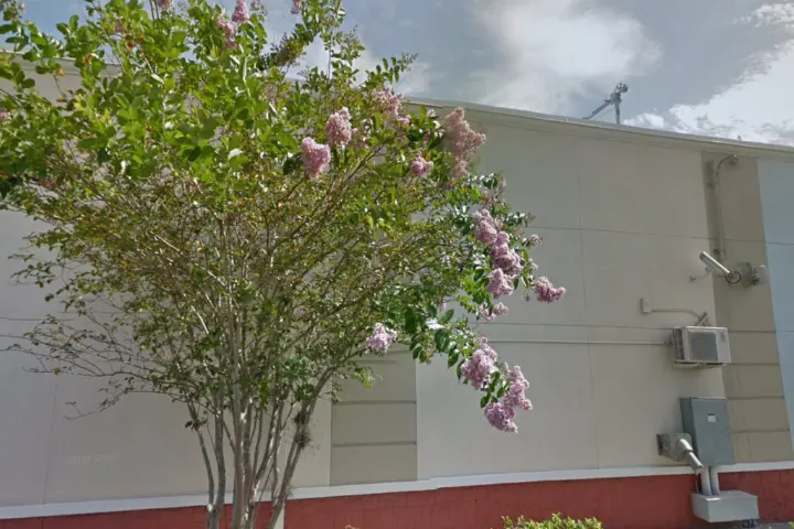 Kissimmee (Verizon)