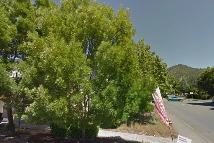 TCC Grants Pass NE Terry Lane (Verizon)