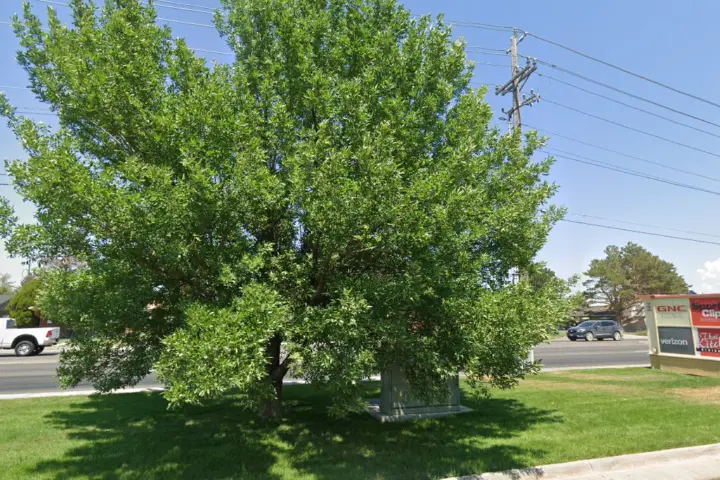 Victra Idaho Falls E 17th St (Verizon)
