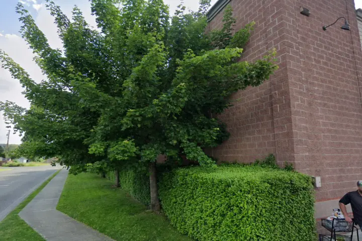 Victra Orting (Verizon)