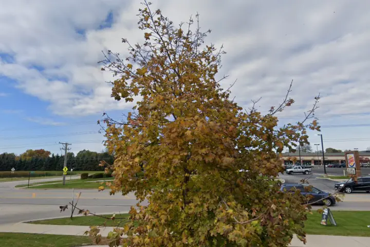 Wireless Zone Lemont (Verizon)