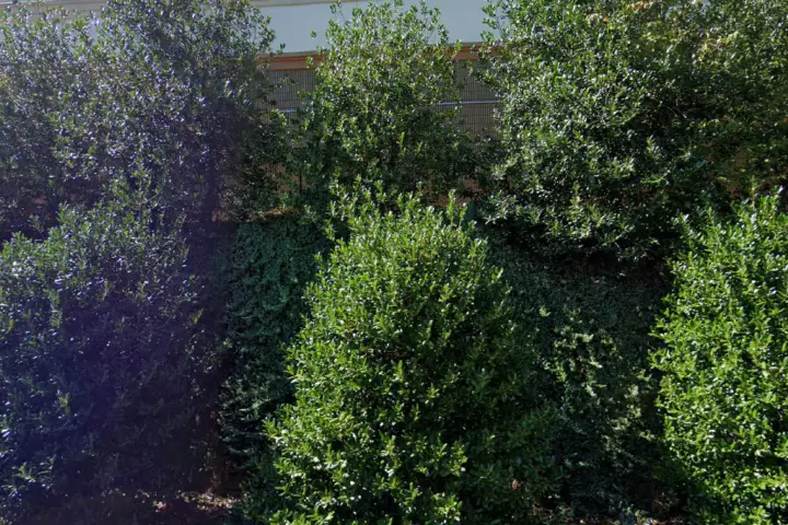 Xfinity – 2866 Chapel Hill Road